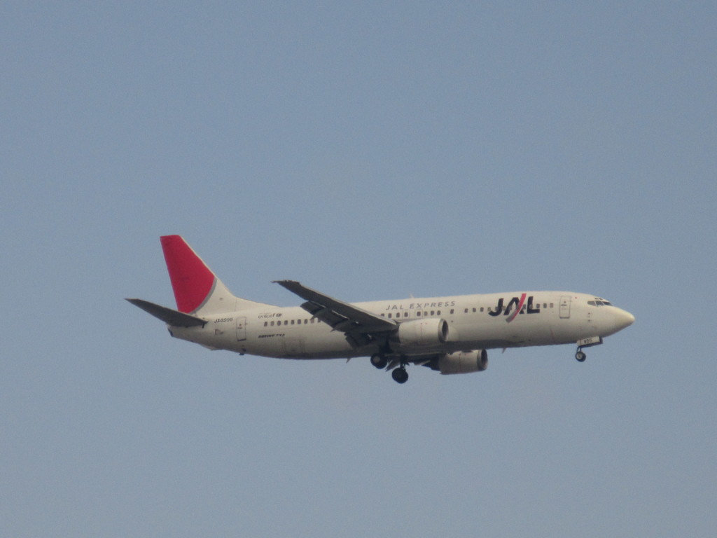 JTA　B737通過