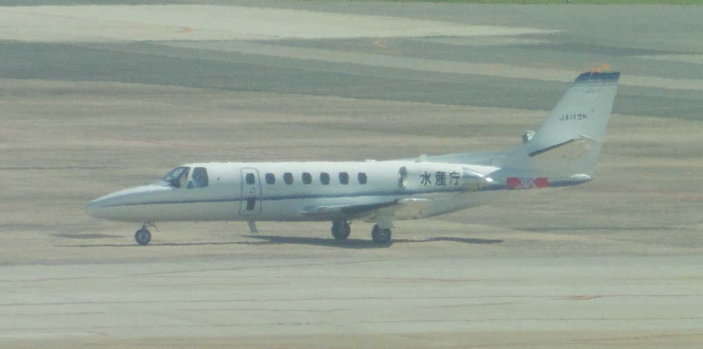 水産庁の小型機の到着