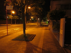 外灯に照らされた夜の大通り