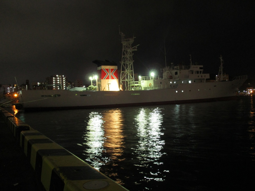 福岡市中央区長浜　夜の須崎埠頭にて　①