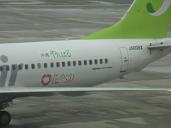 福岡へダイバートしたソラシド②