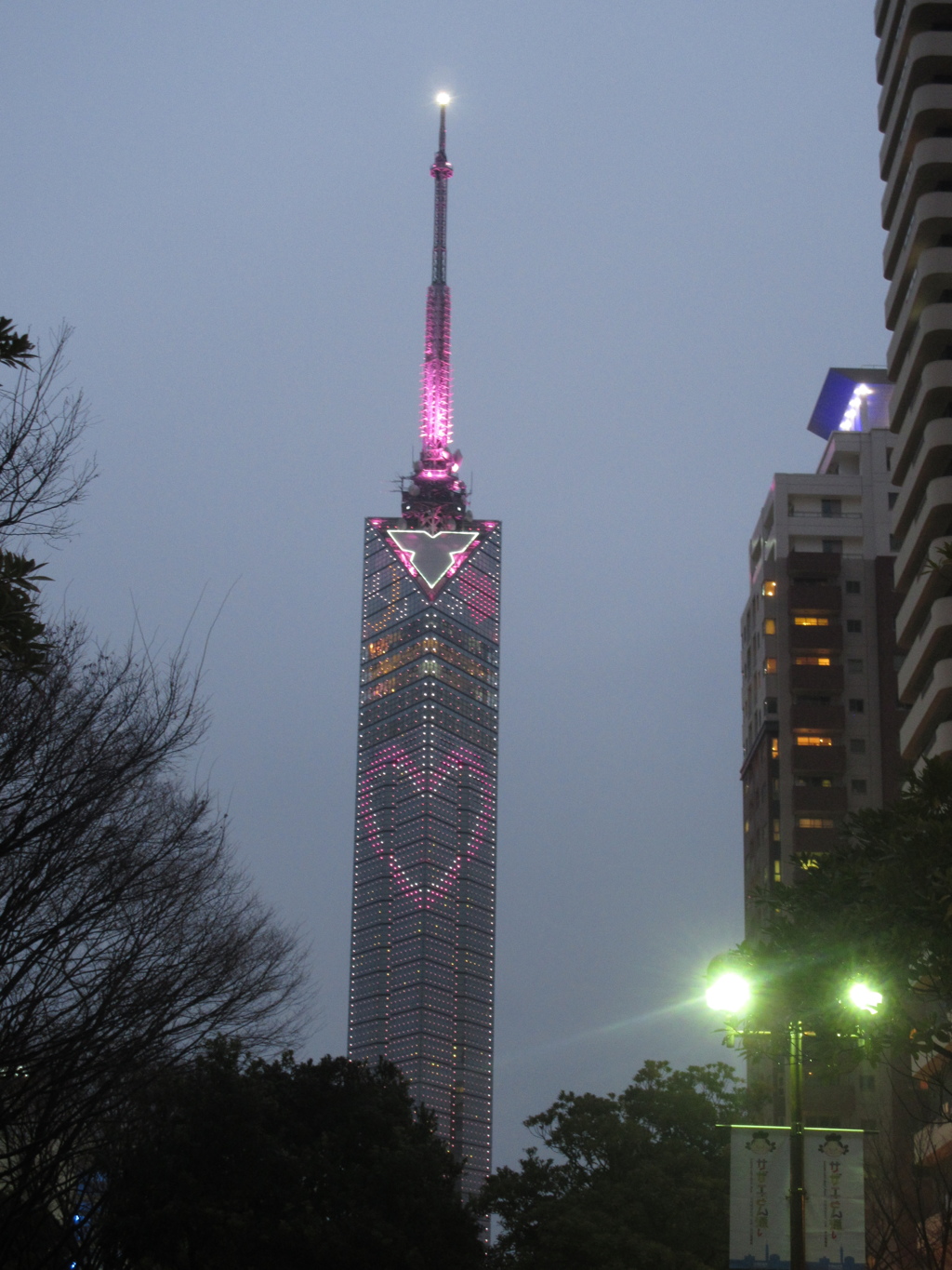 福岡タワーライトアップ②