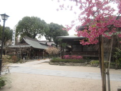 博多櫛田神社①