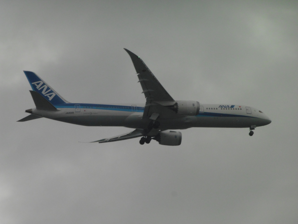 ANA　B787-9着陸