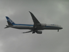 ANA　B787-9着陸