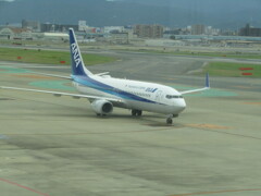 ANA  B737-800　到着