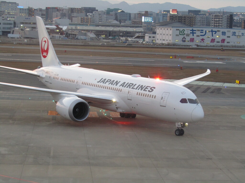 JAL  B787-8   JA847J  福岡空港到着　③