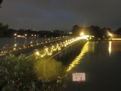 大濠公園のイルミネーション④