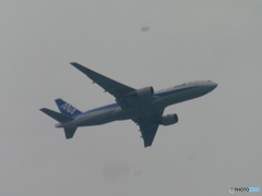 ANA B777離陸