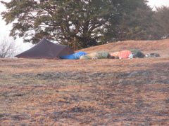 山頂でキャンプしてる人たち