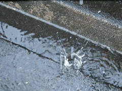 雪解け水が落ちた瞬間