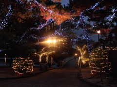 大濠公園とイルミネーション⑥