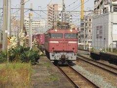 EF81-406貨物通過　黒崎駅にて