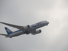 飛ぶ787①