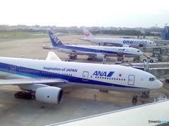 久しぶりの空港①