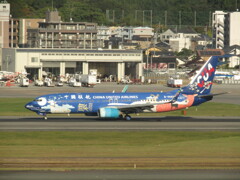 CHINA UNITED AIRLINES  B-5665