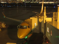 FDA9号機ゴールド塗装①