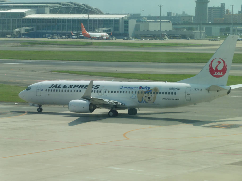 JAL　JA３４１J　ダッフィー３号機飛来