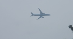 ANA B787-9