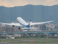 787離陸