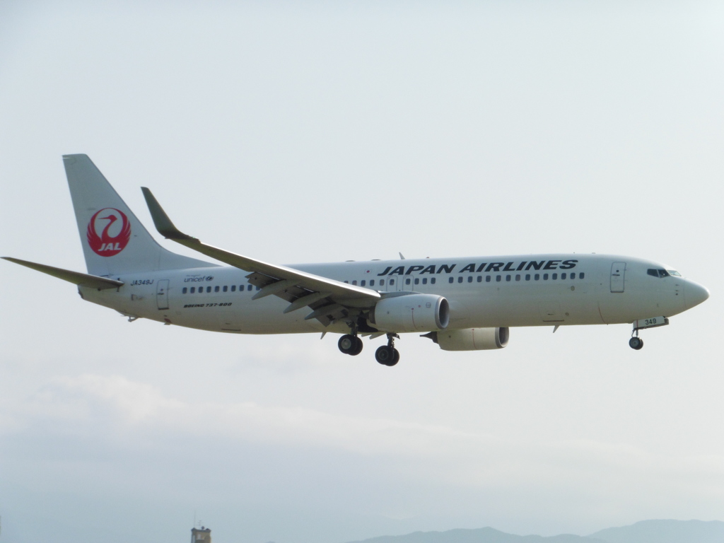JAL B737着陸