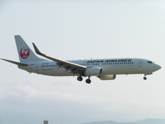 JAL B737着陸