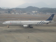CHINA AIRLINE  SKYTEAM ①