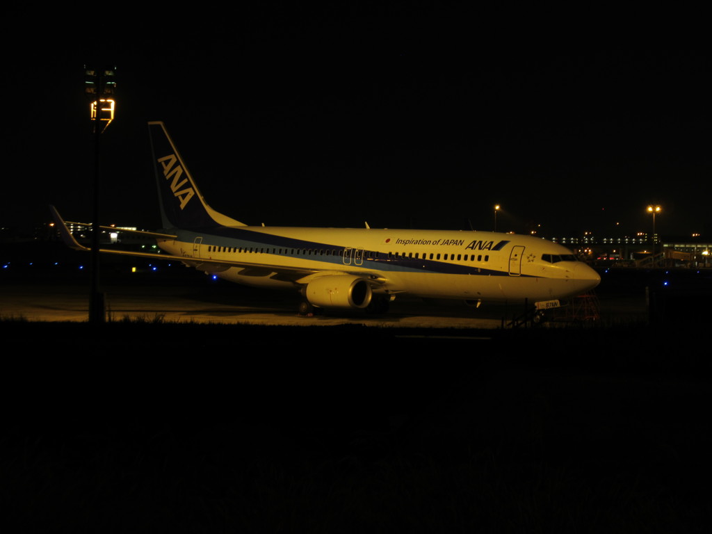 福岡空港の夜にて　⑥