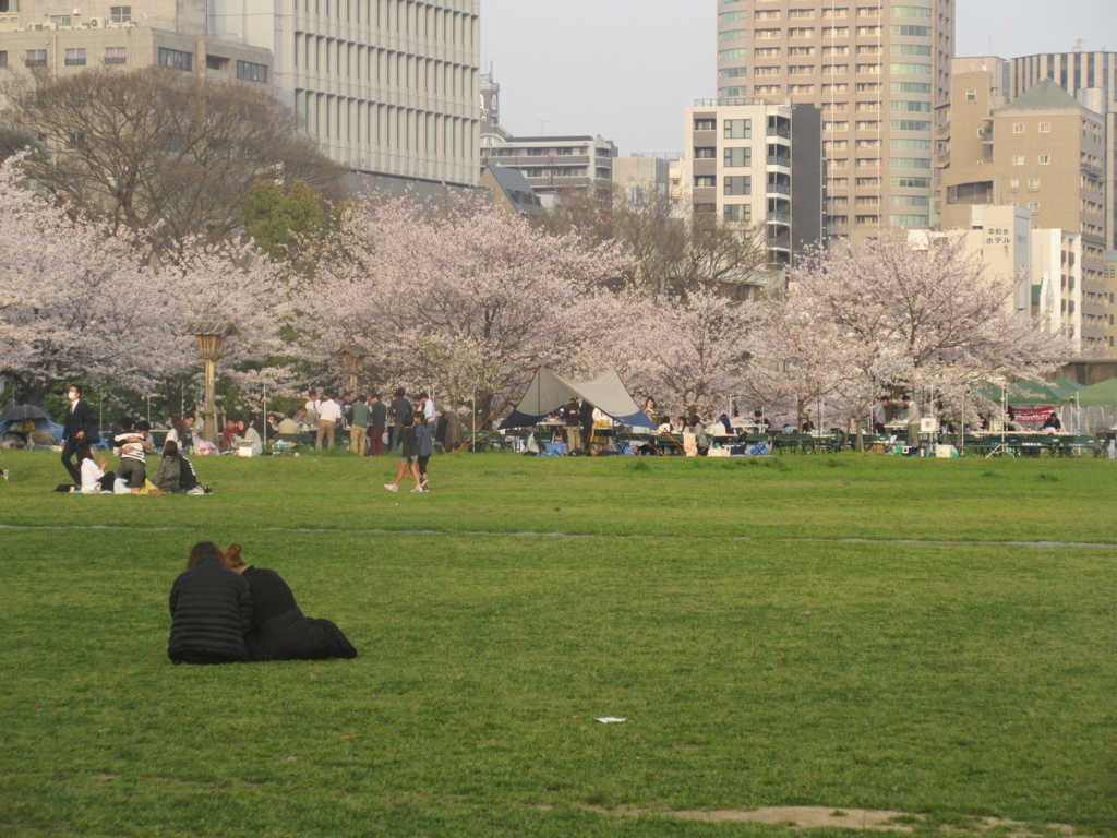 舞鶴公園の花見　③