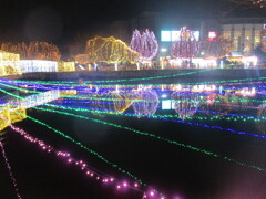 佐賀県鳥栖市中央公園のイルミネーション　㉘