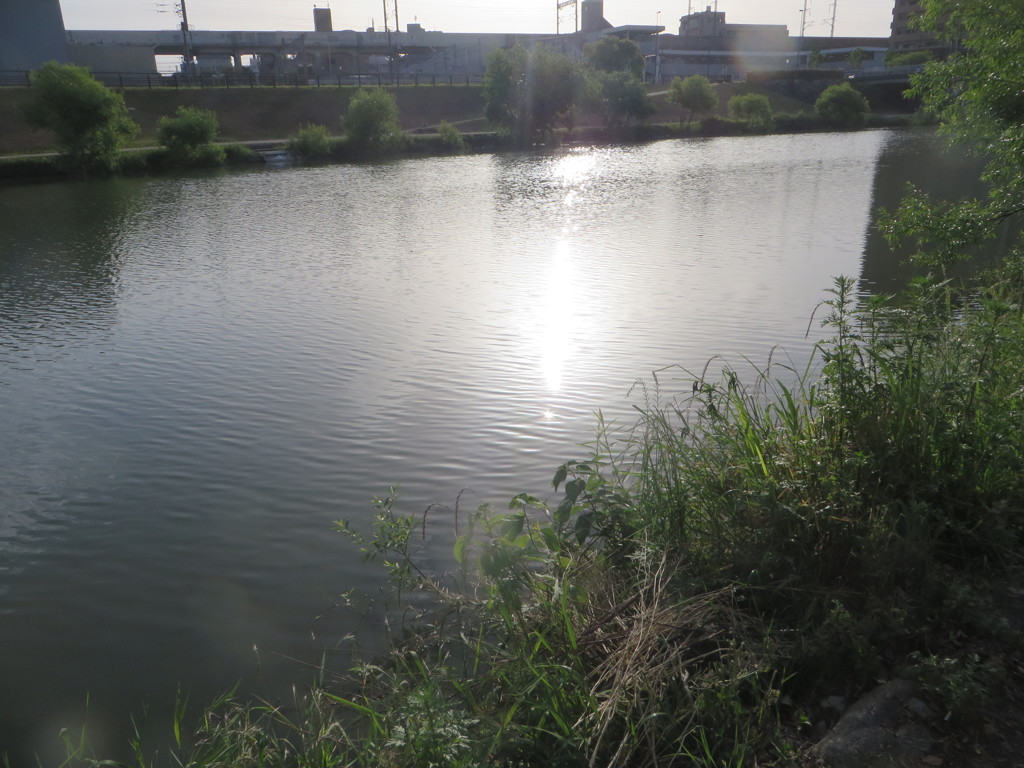 朝日を浴びる川の表面②