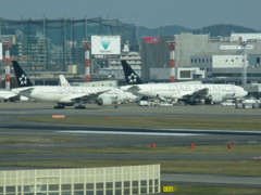 ２機重なったANA　B777-200　スターアライアンス