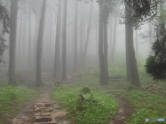 霧と山道③