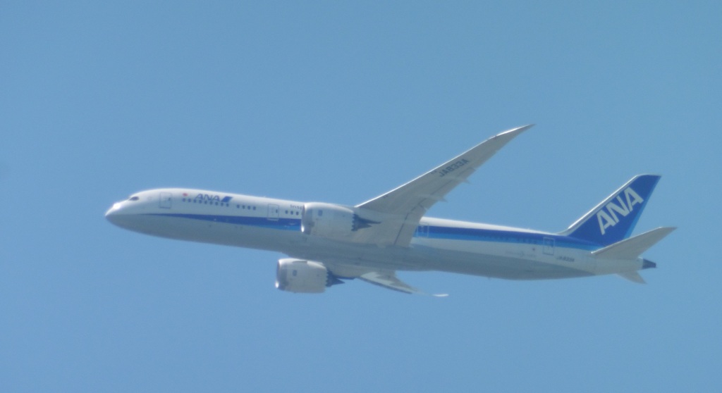 ANA  B787-9  JA833A
