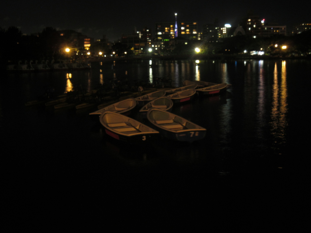 夜の大濠公園　④