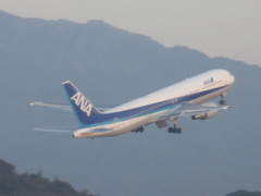 ANA　B767-300離陸