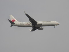 日本トランスオーシャン　JA04KR  KARATE JET