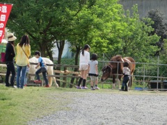 馬とたわむれる子供たち