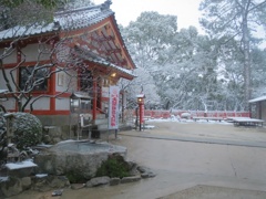 太宰府天開稲荷と雪　⑥