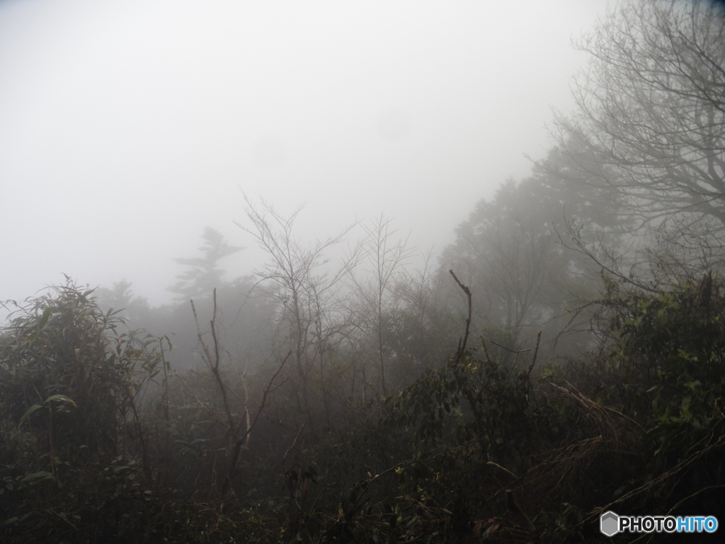 霧のかかった山道②