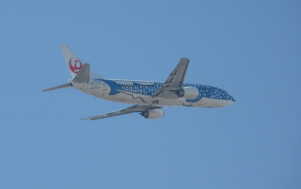 JTA  B737-400　青のジンベエ離陸