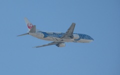 JTA  B737-400　青のジンベエ離陸
