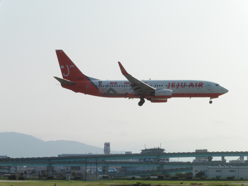 JEJU AIR　塗装機着陸