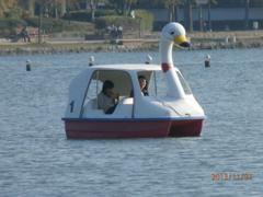 福岡市大濠公園のボートで楽しむ人たち