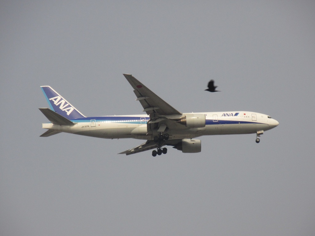 福岡空港へのアプローチを東区付近より眺める①