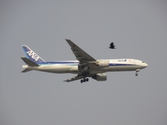 福岡空港へのアプローチを東区付近より眺める①