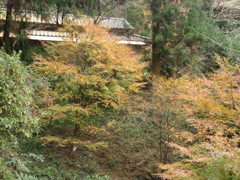 紅葉と民家のある光景