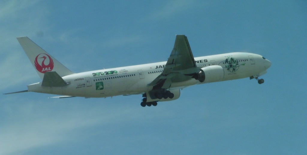 久々のエコジェット②