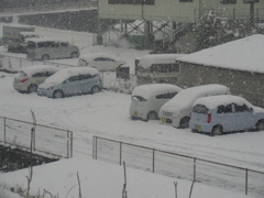 福岡県筑豊地区の飯塚や直方の雪です④