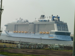 Quantum　of  the  Seas  入港①